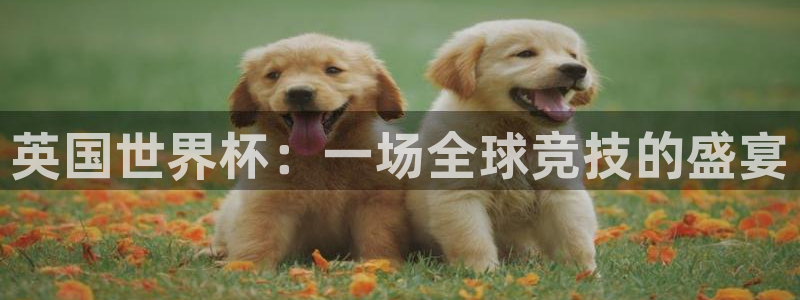 世界杯直播免费观看：英国世界杯：一场全球竞技的盛宴