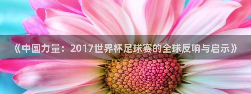 2026世界杯：《中国力量：2017世界杯足球赛的全球反响与启示》