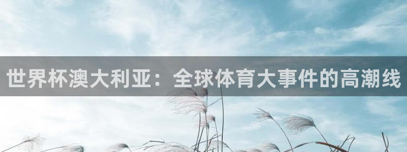 世界杯赛程2026：世界杯澳大利亚：全球体育大事件的高潮线