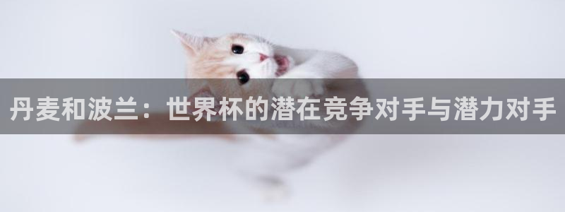 2026世界杯预选赛：丹麦和波兰：世界杯的潜在竞争对手与潜力对手