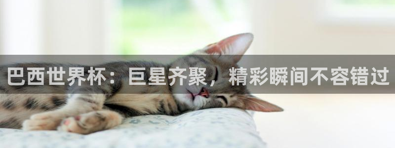 2026世界杯买球：巴西世界杯：巨星齐聚，精彩瞬间不容错过