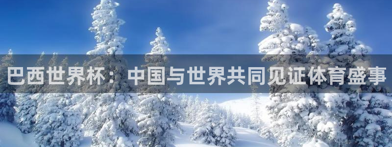 2026年男足世界杯：巴西世界杯：中国与世界共同见证体育盛事
