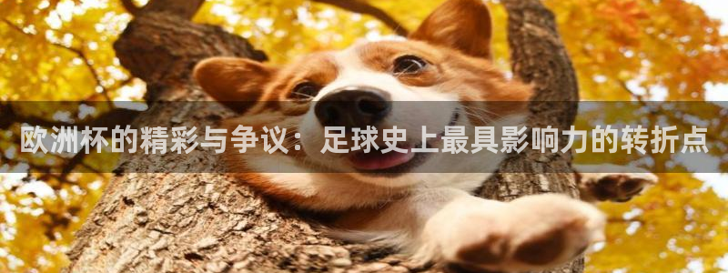2026年世界杯赛程时间表格：欧洲杯的精彩与争议：足球史上最具影响力的转折点
