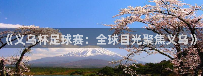 2026世界杯中国队：《义乌杯足球赛：全球目光聚焦义乌》
