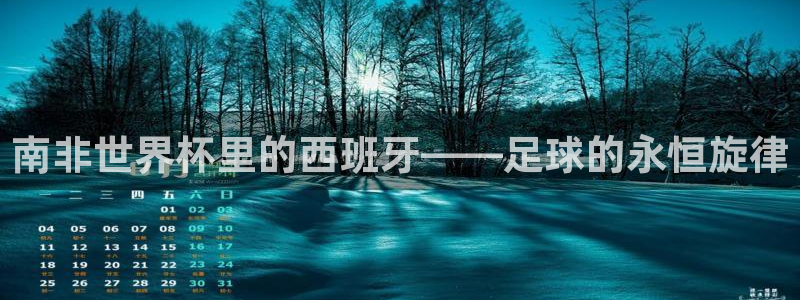 世界杯欧洲区预选赛：南非世界杯里的西班牙——足球的永恒旋律