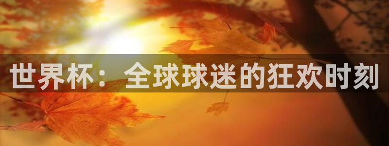2026年男足世界杯：世界杯：全球球迷的狂欢时刻