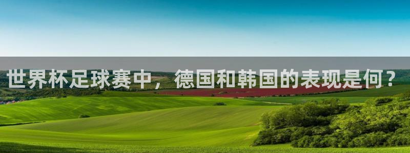 世界杯官网：世界杯足球赛中，德国和韩国的表现是何？