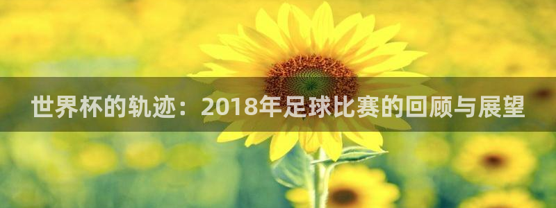 2026年世界杯直播平台：世界杯的轨迹：2018年足球比赛的回顾与展望