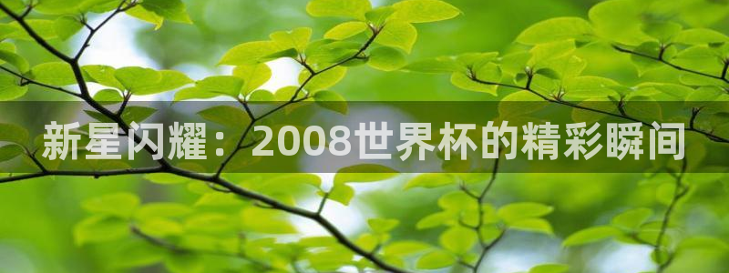 世界杯对阵图2026：新星闪耀：2008世界杯的精彩瞬间