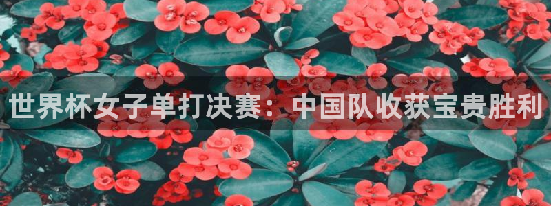 联赛杯直播：世界杯女子单打决赛：中国队收获宝贵胜利