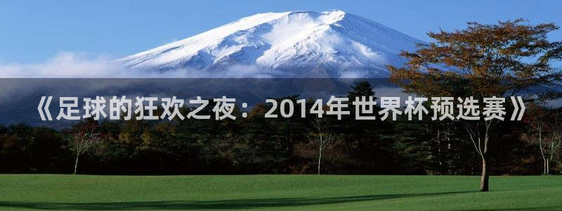 世界杯在线直播：《足球的狂欢之夜：2014年世界杯预选赛》