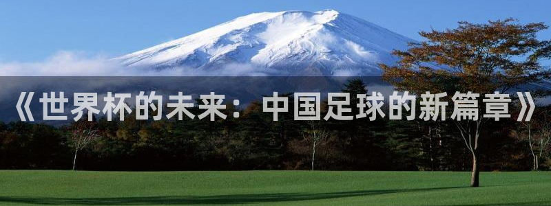 世界杯赛程表2026：《世界杯的未来：中国足球的新篇章》