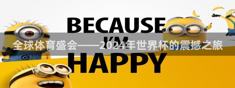 世界杯足球：全球体育盛会——2024年世界杯的震撼之旅