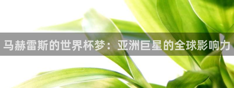 2026世界杯南美区积分榜：马赫雷斯的世界杯梦：亚洲巨星的全球影响力